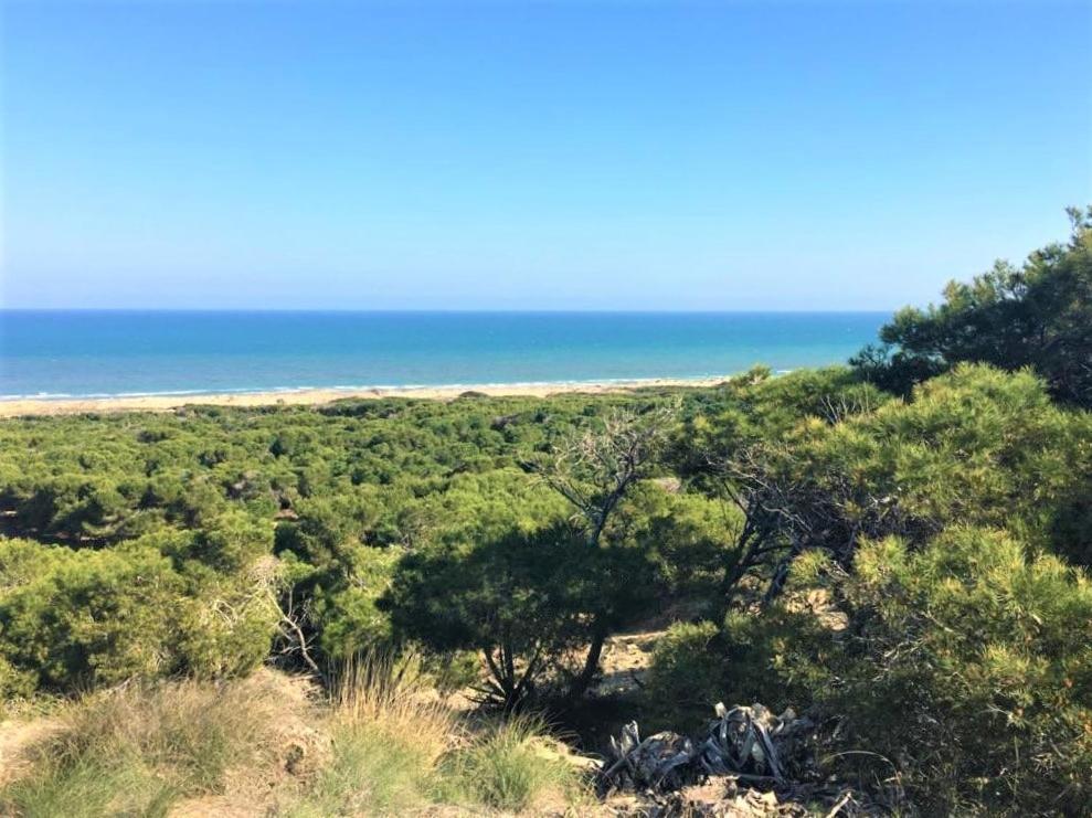 Casa Jirafa Con La Vista Villa Gran Alacant Exteriör bild